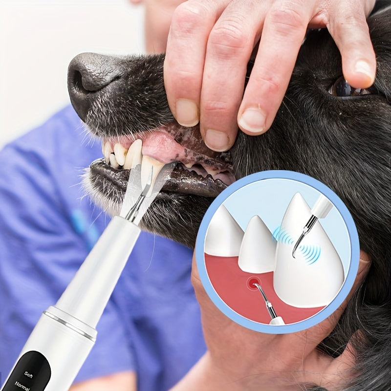 Electric Tooth Cleaner For Pets Removes Stains And Stones From Teeth With 2 Cleaning Heads USB Charger Care Kit To Protect Teeth And Gums