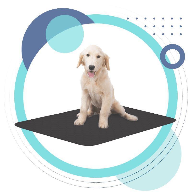 Pets Earthing Mat - Cats & Dogs