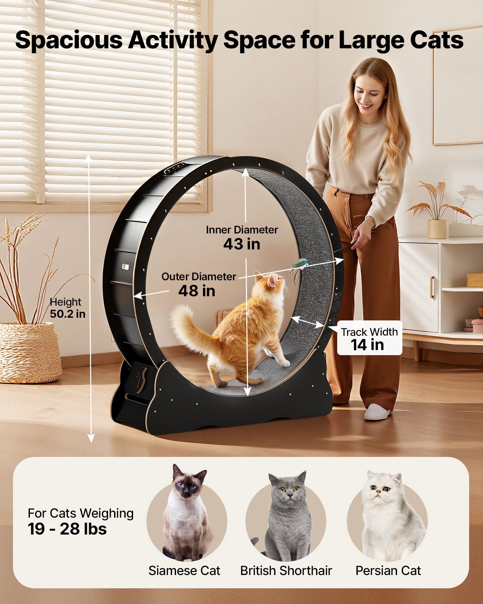 Cat Exercise Wheel, 48 In Wooden Cat Running Wheel For Indoor Cats Up To 28 Lbs, Cats Treadmill With Carpeted Runway & Locking Mechanism, Quiet Kitten Sport Toys For Pets Fitness & Health, Black